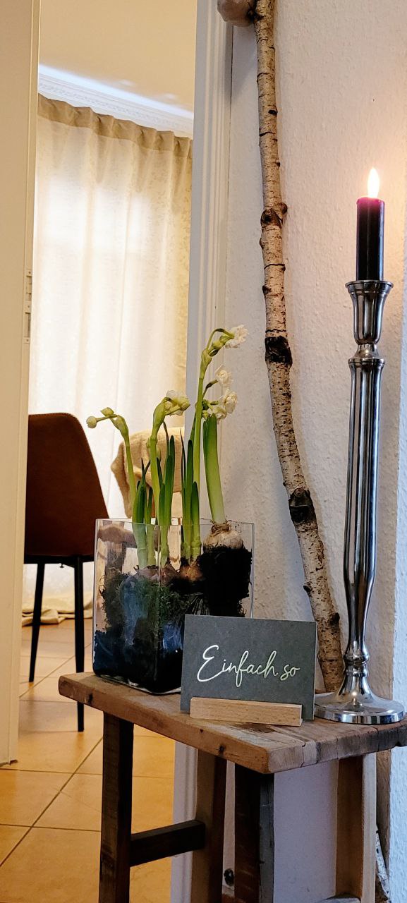 photo_2026-03-13_12-35-42